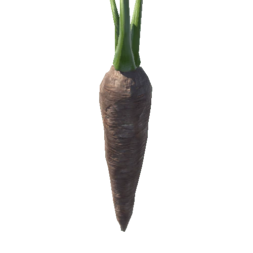 carrot1 (2)
